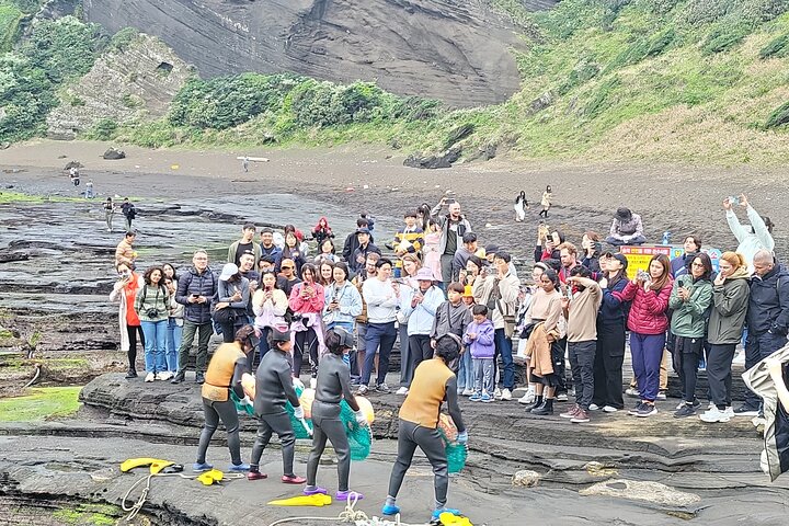 Passeio privado de um dia a leste, sul e oeste de todas as áreas da ilha de Jeju
