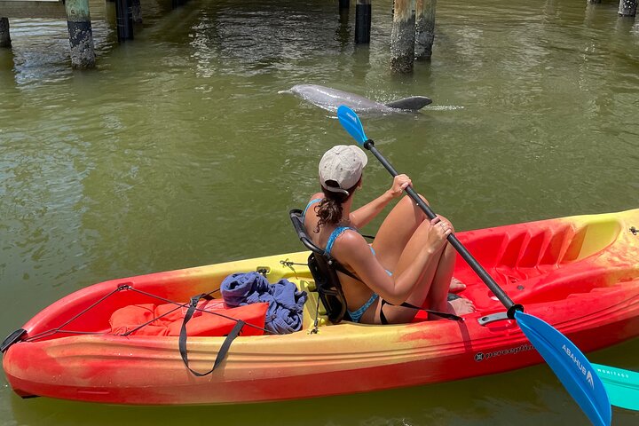 Bonita Springs Eco Kayak tur – beste utstyr, premium og klare kajakker