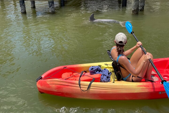 Bonita Springs Eco Kayak tur – beste utstyr, premium og klare kajakker