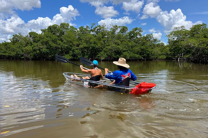 Bonita Springs Eco Kayak tur – beste utstyr, premium og klare kajakker