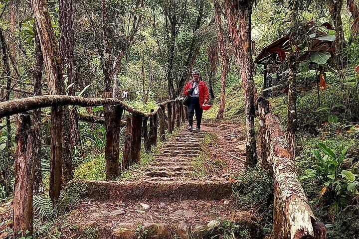 Tour di un'intera giornata alle grotte e alla natura di Rey Marcos da Coban