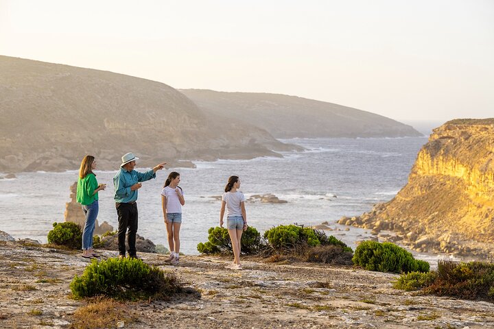 Escursione di un giorno a Port Lincoln e Coffin Bay