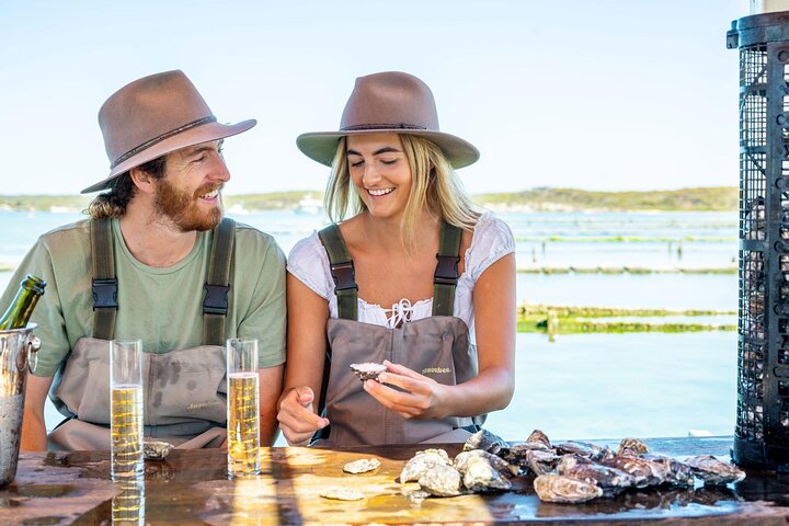 Escursione di un giorno a Port Lincoln e Coffin Bay
