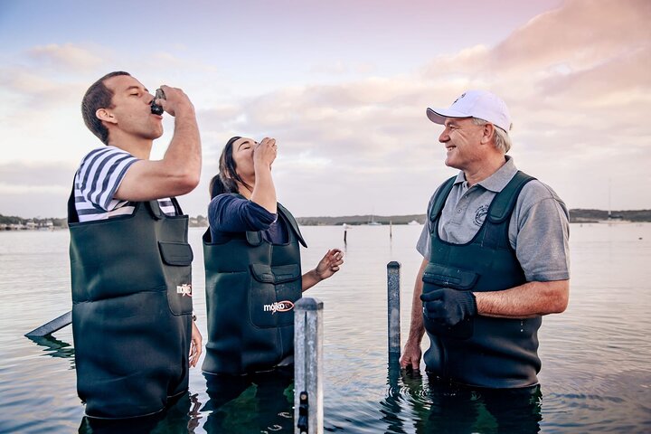 Escursione di un giorno a Port Lincoln e Coffin Bay