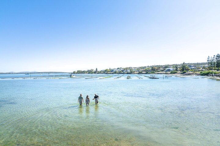 Escursione di un giorno a Port Lincoln e Coffin Bay