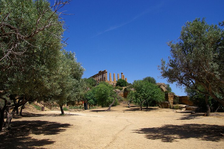 Agrigento Valley of the Temples Privat arkeologisk guidet tur
