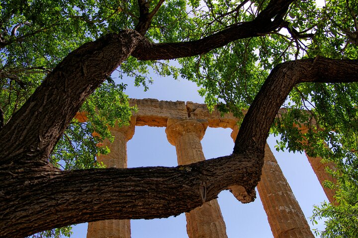 Agrigento Valley of the Temples Privat arkeologisk guidet tur