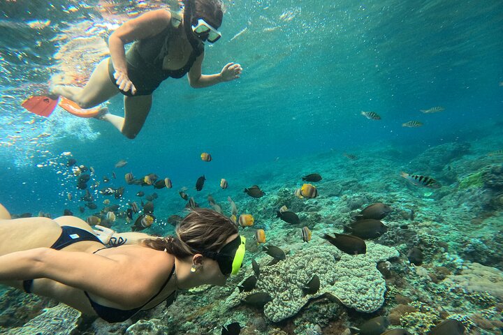 Lembongan Snorkeling à Manta Bay, Crystal Bay et Mangrove