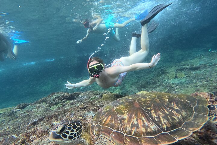 Lembongan Snorkeling à Manta Bay, Crystal Bay et Mangrove