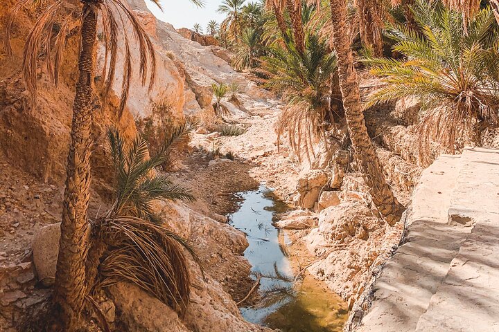 Recorrido de día completo por Tamerza, Chebika, Mides Canyons y Star Wars