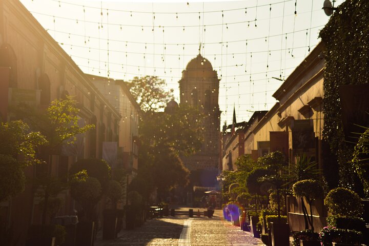 Tequila José Cuervo Verkostungsführung ab Puerto Vallarta