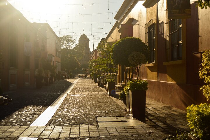 Tequila José Cuervo Verkostungsführung ab Puerto Vallarta