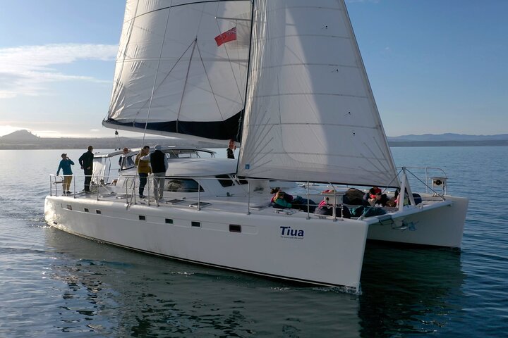 Vela de lujo - Tallados rupestres maoríes - Taupo Sailing Adventures