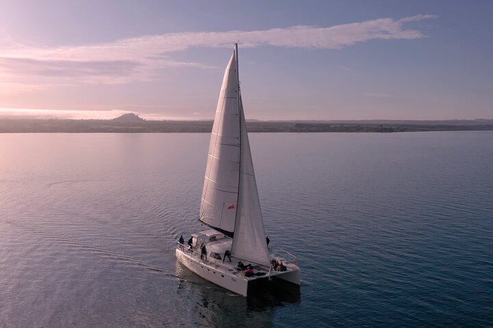 Vela de lujo - Tallados rupestres maoríes - Taupo Sailing Adventures