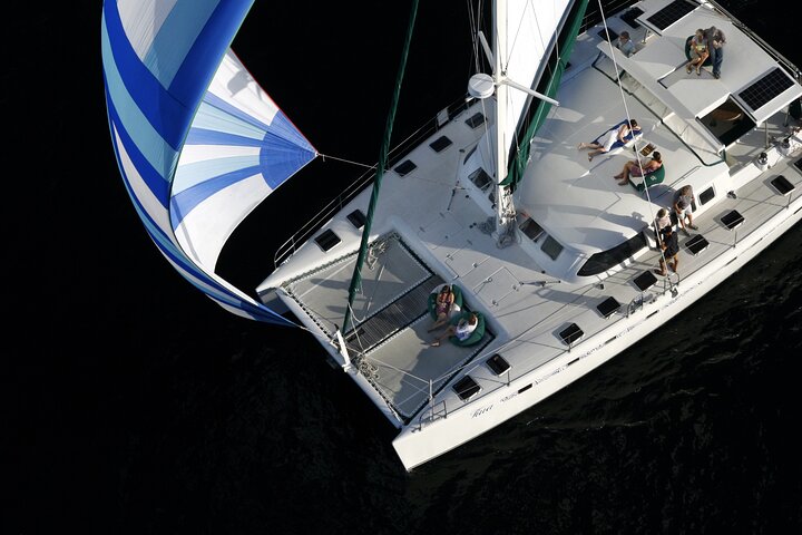Vela de lujo - Tallados rupestres maoríes - Taupo Sailing Adventures