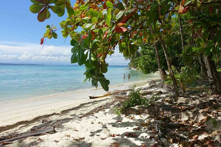 Recorrido de un día por las islas de Bocas del Toro en la playa Zapatilla