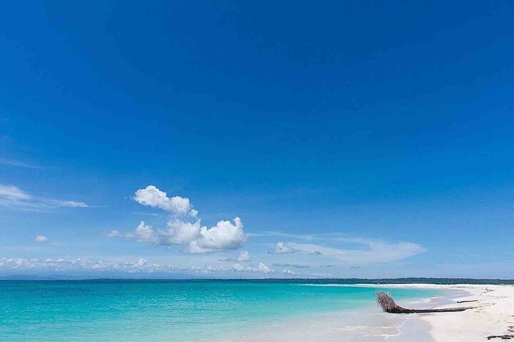 Recorrido de un día por las islas de Bocas del Toro en la playa Zapatilla