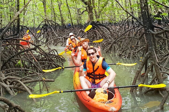 Tour delle mangrovie in kayak a Ko Lanta con pranzo