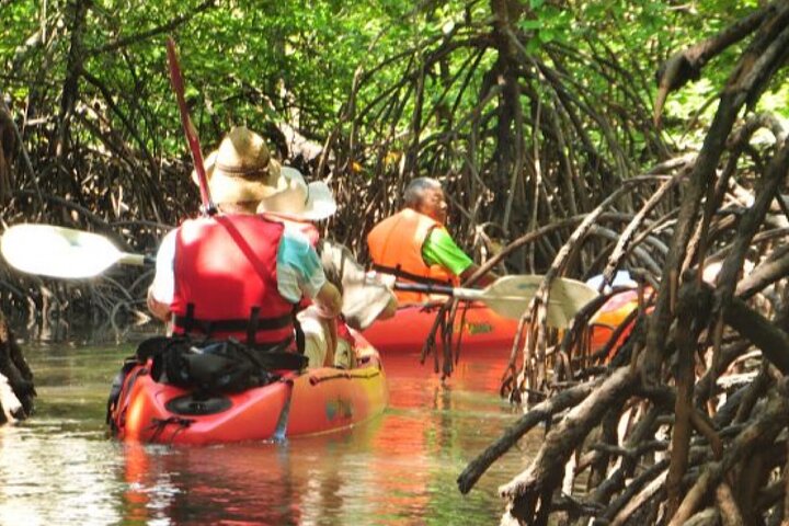 Tour delle mangrovie in kayak a Ko Lanta con pranzo