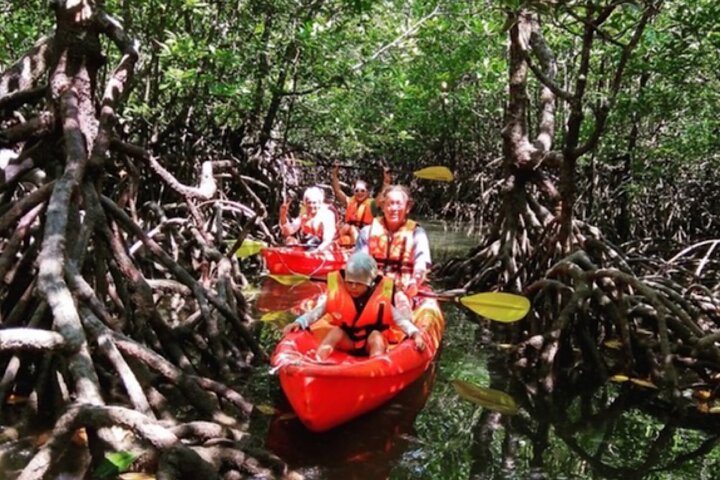 Tour delle mangrovie in kayak a Ko Lanta con pranzo