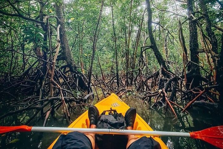 Tour delle mangrovie in kayak a Ko Lanta con pranzo