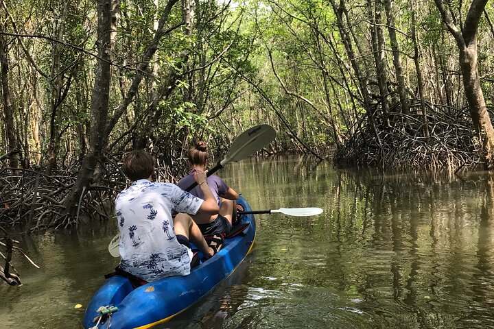 Tour delle mangrovie in kayak a Ko Lanta con pranzo