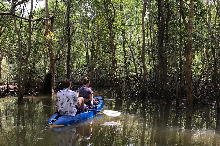 Tour delle mangrovie in kayak a Ko Lanta con pranzo