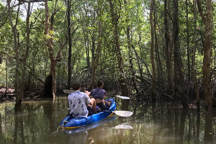 Tour delle mangrovie in kayak a Ko Lanta con pranzo