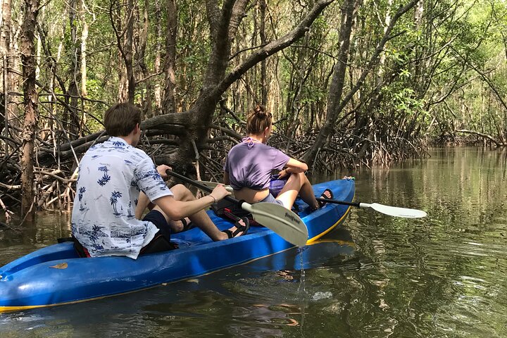 Tour delle mangrovie in kayak a Ko Lanta con pranzo