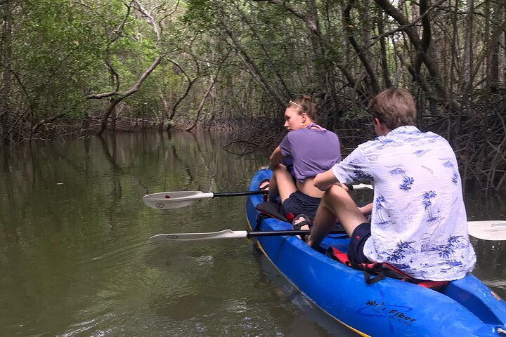Tour delle mangrovie in kayak a Ko Lanta con pranzo