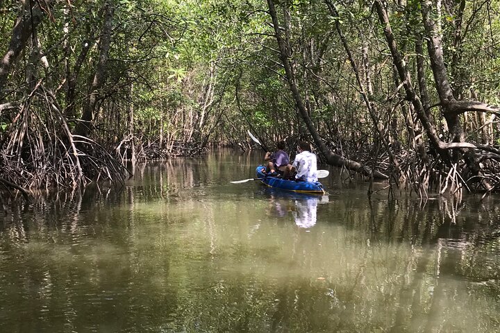 Tour delle mangrovie in kayak a Ko Lanta con pranzo
