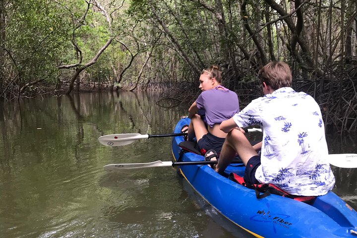 Tour delle mangrovie in kayak a Ko Lanta con pranzo