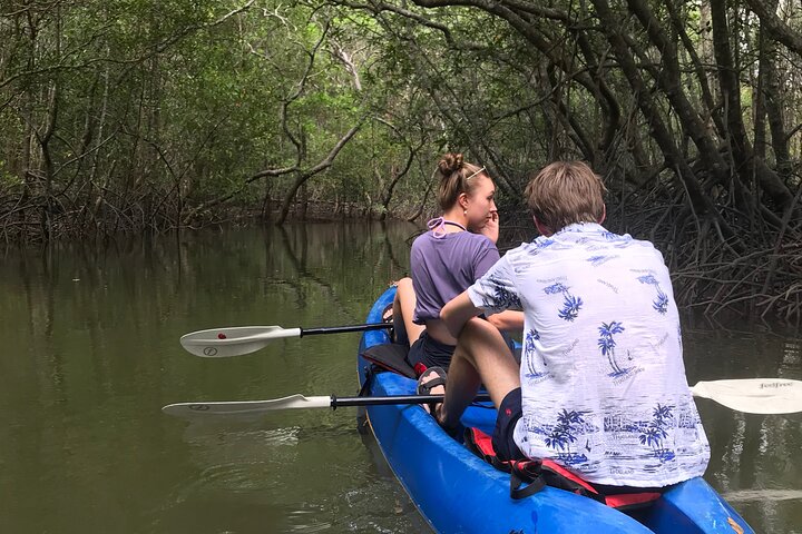 Tour delle mangrovie in kayak a Ko Lanta con pranzo