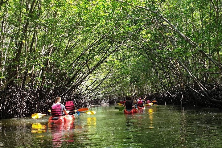 Tour delle mangrovie in kayak a Ko Lanta con pranzo