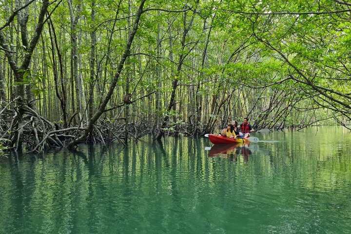 Tour delle mangrovie in kayak a Ko Lanta con pranzo