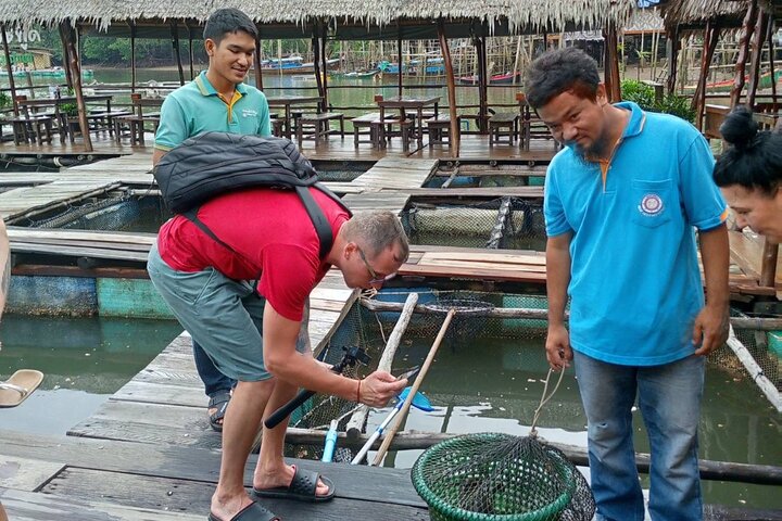 Tour delle mangrovie in kayak a Ko Lanta con pranzo
