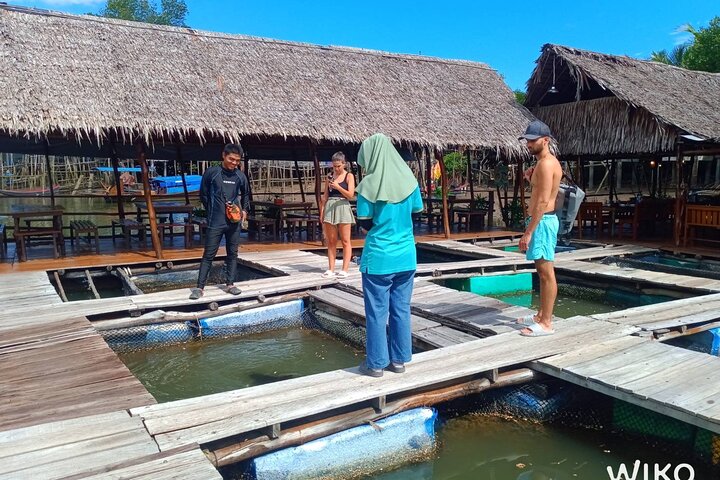 Tour delle mangrovie in kayak a Ko Lanta con pranzo