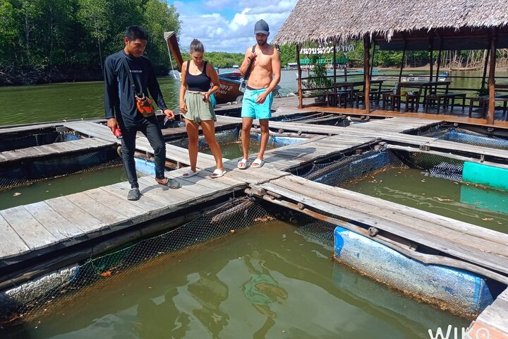 Tour delle mangrovie in kayak a Ko Lanta con pranzo