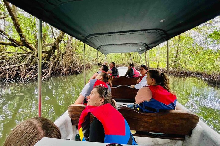 Recorrido de un día por las islas de Bocas del Toro en la playa Zapatilla