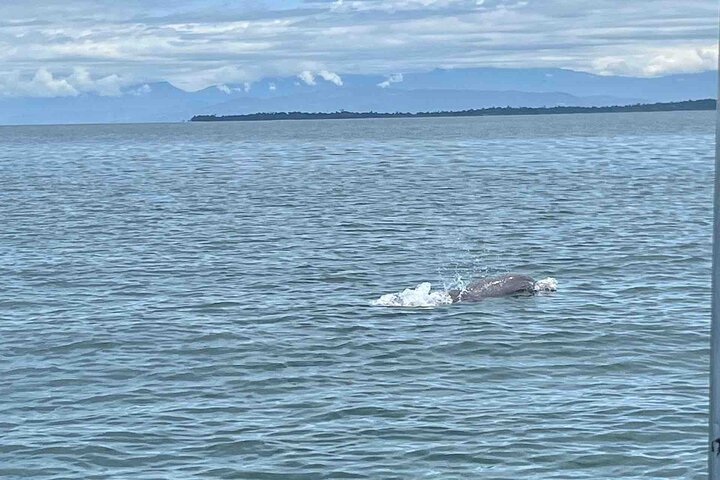 Recorrido de un día por las islas de Bocas del Toro en la playa Zapatilla