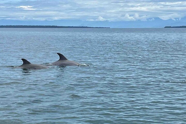 Recorrido de un día por las islas de Bocas del Toro en la playa Zapatilla