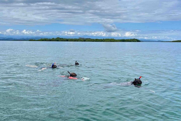 Recorrido de un día por las islas de Bocas del Toro en la playa Zapatilla