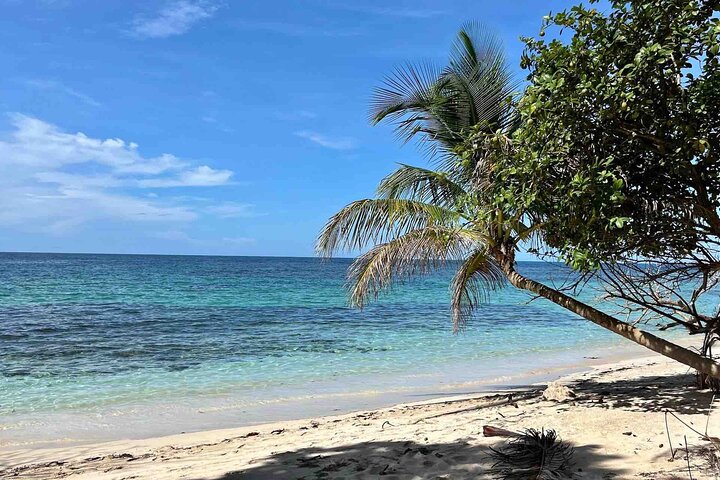 Recorrido de un día por las islas de Bocas del Toro en la playa Zapatilla