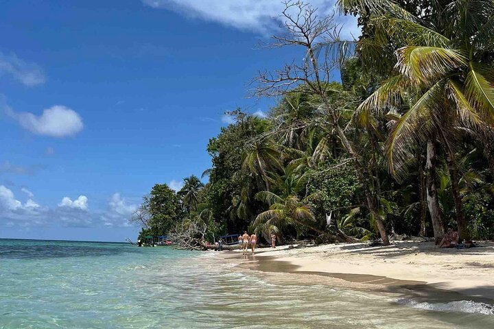 Recorrido de un día por las islas de Bocas del Toro en la playa Zapatilla