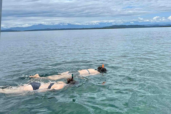 Recorrido de un día por las islas de Bocas del Toro en la playa Zapatilla