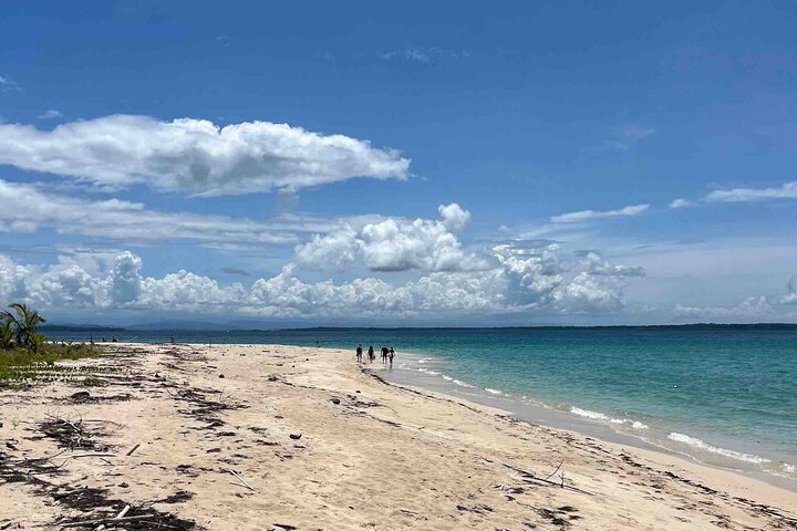 Recorrido de un día por las islas de Bocas del Toro en la playa Zapatilla