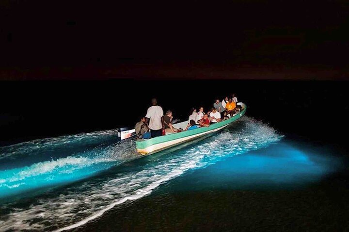 Biolumineszenz-Schnorchel- und Bootserlebnis in Bocas del Toro