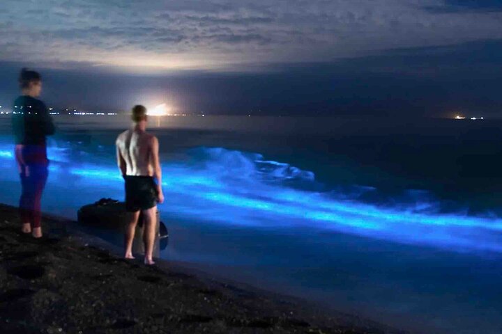Biolumineszenz-Schnorchel- und Bootserlebnis in Bocas del Toro