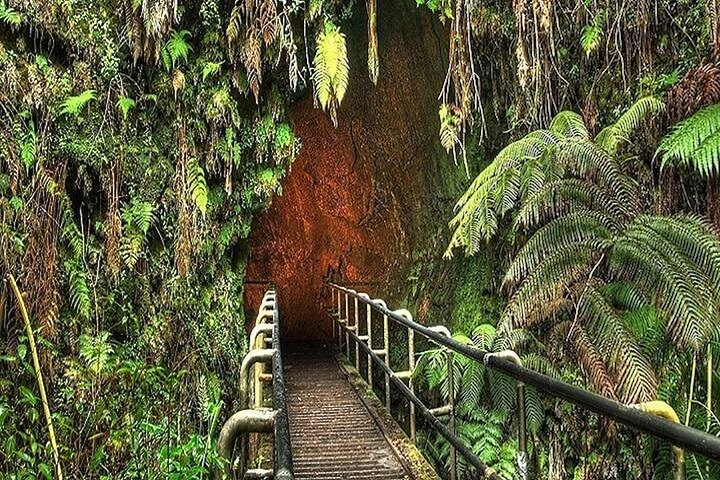 Maui : Road to Hana Deluxe regnskog og vannfall opplevelse
