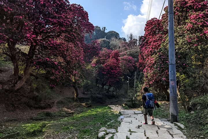 Caminhada guiada privada no circuito de Annapourna